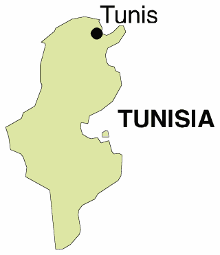 Tunisia: Possibility to solve the Tunisian water problem
1995 had been 434 cubic meters of water  for each of the 8.99 million inhabitants. 2050, 15.91 million inhabitants are expected. Supply can be solved with solar water distillation