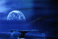 Ein Raumschiff am dunklen Himmel einer blauen Welt
Unter dem untertassenförmigen Raumer ist die Schwanzflosse eines gerade taucheneden Wals. Am Horizont ein anderer Planet
